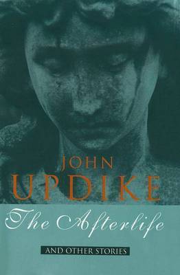 Book cover for The Afterlife