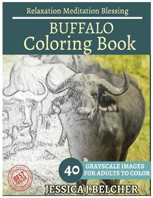 Book cover for Buffalo Coloring Book for Adults Relaxation Meditation Blessing