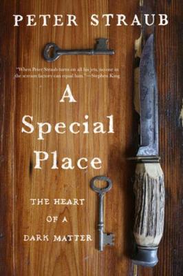 Book cover for A Special Place