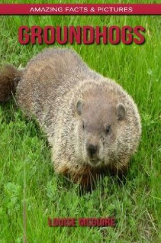 Cover of Groundhogs