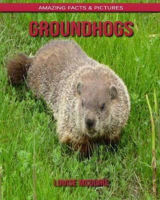 Book cover for Groundhogs