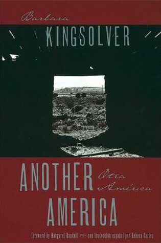 Cover of Another America