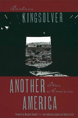Book cover for Another America