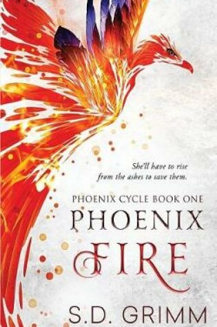 Cover of Phoenix Fire
