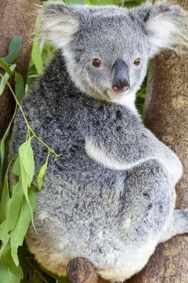 Book cover for Relaxed Koala Bear Sitting in a Tree Journal