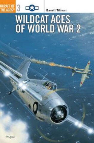 Cover of Wildcat Aces of World War 2