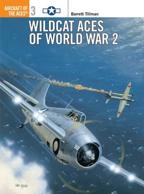 Book cover for Wildcat Aces of World War 2