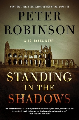 Book cover for Standing in the Shadows