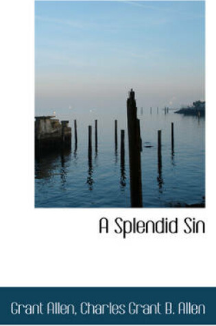 Cover of A Splendid Sin