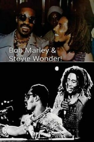 Cover of Bob Marley & Stevie Wonder!