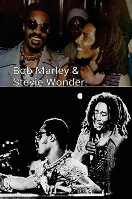 Book cover for Bob Marley & Stevie Wonder!