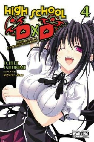 Cover of High School DxD, Vol. 4 (light novel)