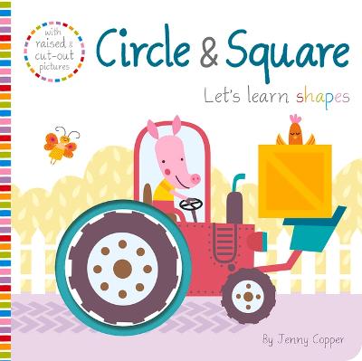 Book cover for Circle & Square