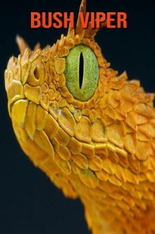 Cover of Bush Viper