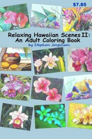 Cover of Relaxing Hawaiian Scenes II