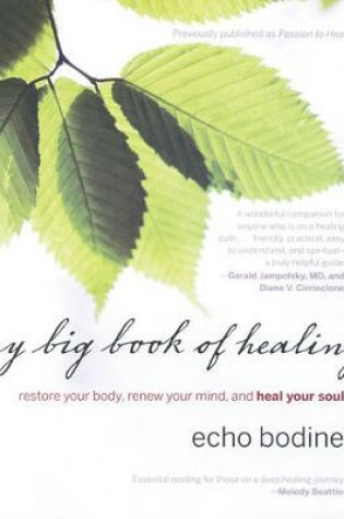 Cover of My Big Book of Healing