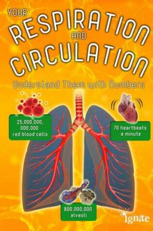 Cover of Your Respiration and Circulation