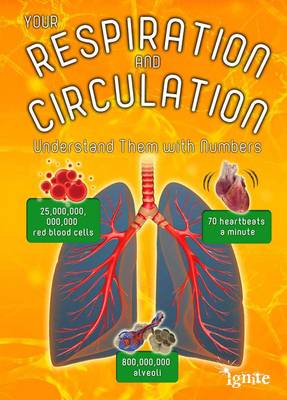 Book cover for Your Respiration and Circulation