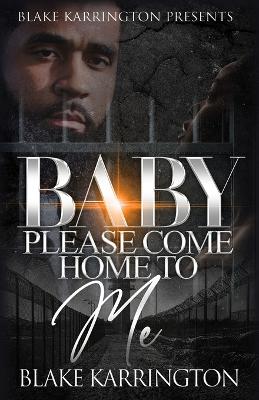 Book cover for Baby Please Come Home To Me