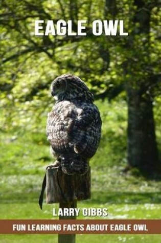 Cover of Fun Learning Facts about Eagle Owl