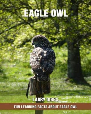 Book cover for Fun Learning Facts about Eagle Owl