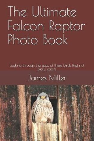 Cover of The Ultimate Falcon Raptor Photo Book