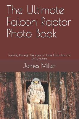 Book cover for The Ultimate Falcon Raptor Photo Book