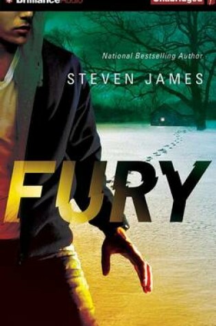 Cover of Fury