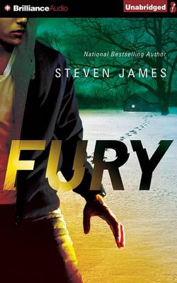 Book cover for Fury