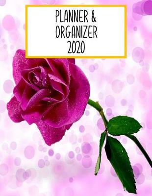 Book cover for Planner Daily 2020