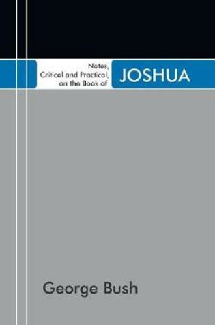 Cover of Notes, Critical and Practical, on the Book of Joshua
