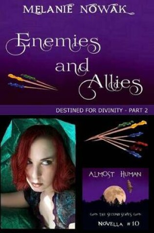 Cover of Enemies and Allies