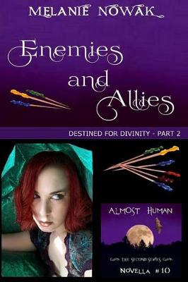 Book cover for Enemies and Allies