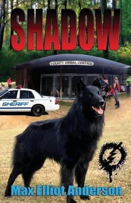 Book cover for Shadow