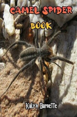 Cover of Camel Spider Book