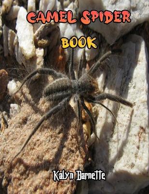 Book cover for Camel Spider Book