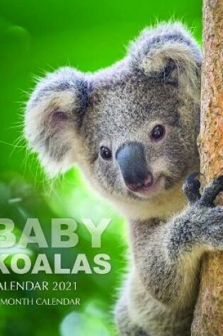 Cover of Baby Koalas Calendar 2021