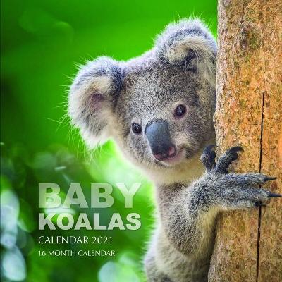 Book cover for Baby Koalas Calendar 2021