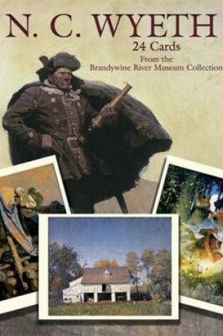 Cover of N. C. Wyeth Paintings