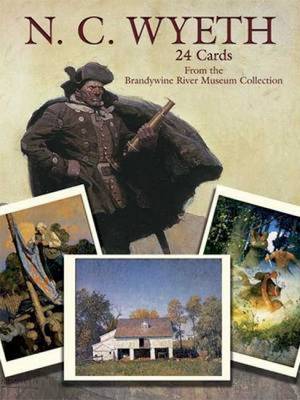 Book cover for N. C. Wyeth Paintings