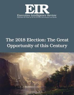 Book cover for The 2018 Election