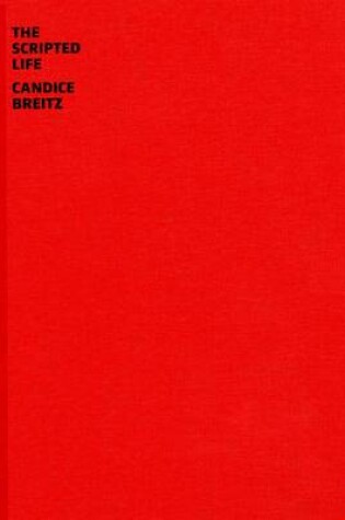 Cover of Candice Breitz