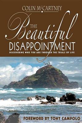 Book cover for The Beautiful Disappointment