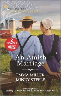 Book cover for An Amish Marriage