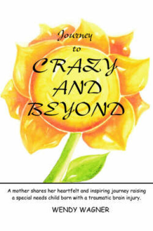 Cover of Journey To Crazy And Beyond