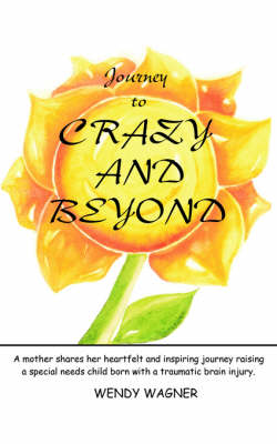 Book cover for Journey To Crazy And Beyond