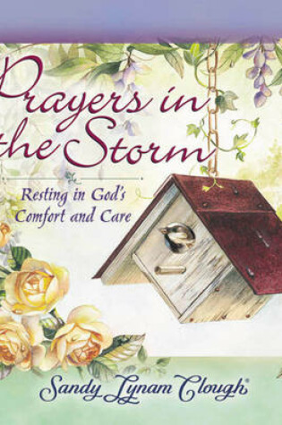 Cover of Prayers in the Storm