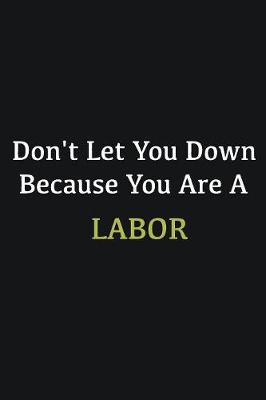 Book cover for Don't let you down because you are a Labor