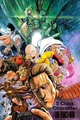 Book cover for S Class Character - One Punch Man