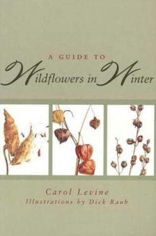 Cover of A Guide to Wild-flowers in Winter